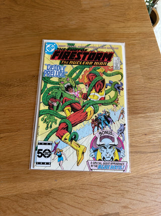 Comic Book Fury of Firestorm Issue 46|107520