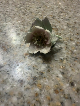 V Balmore Fine Bone China Flower