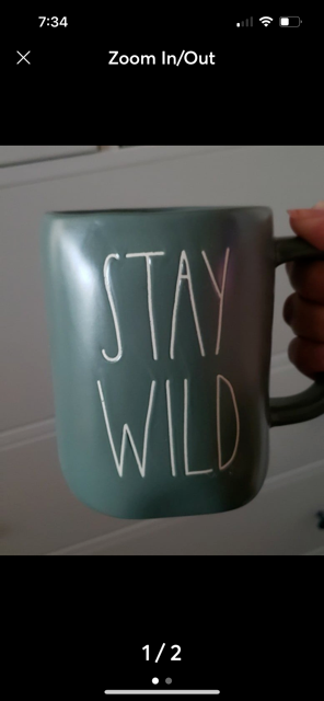 stay wild coffee mug