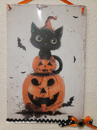 Cat on Pumpkin