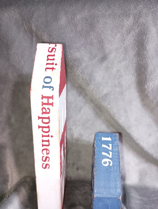 Hand painted Red, white and blue wooden houses (set of 2)
