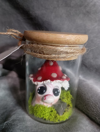 Fungi "Ant"