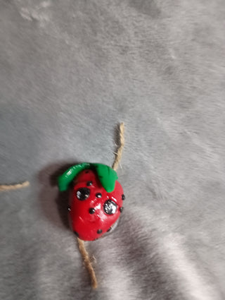 Strawberry mag small