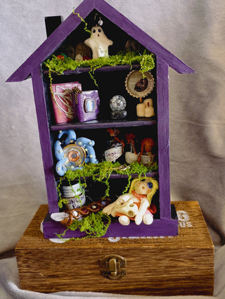 Cabinet of Curiosities (s)