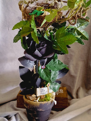 Maneatting Plant