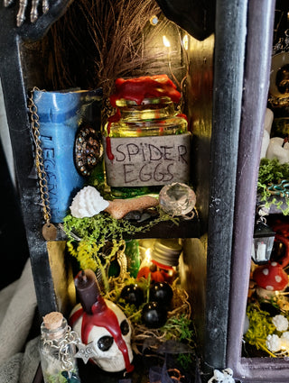Light up Haunted Cabinet of Curiosities