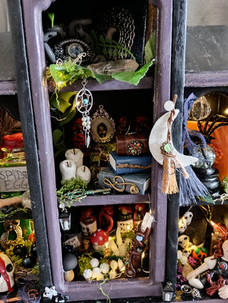 Light up Haunted Cabinet of Curiosities