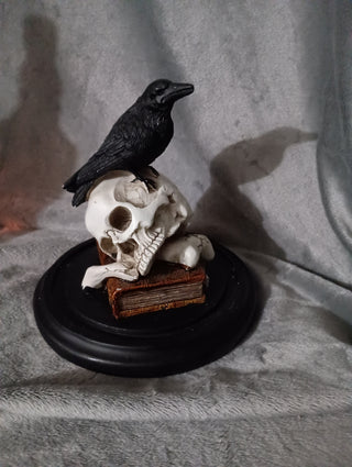 Raven, skull and books