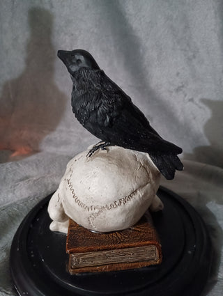 Raven, skull and books