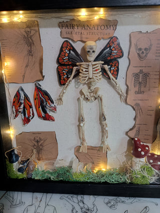 Fairy skeleton Specimen (lights up)