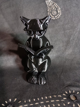 3-D black Cat w/ a book
