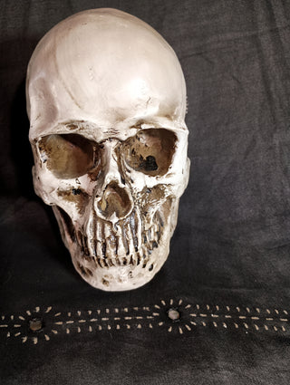 Realistic Skull