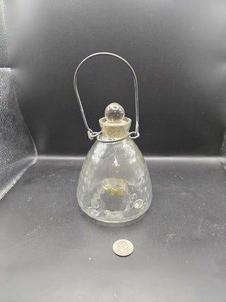 A/V Glass Wasp and Fly Trap  Fol