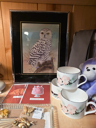 #68 ART SALE - Vtg. Snowy Owl Chrome Framed Print