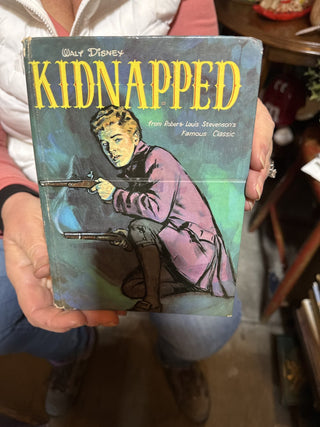 Disney Kidnapped Book - LL - RCD