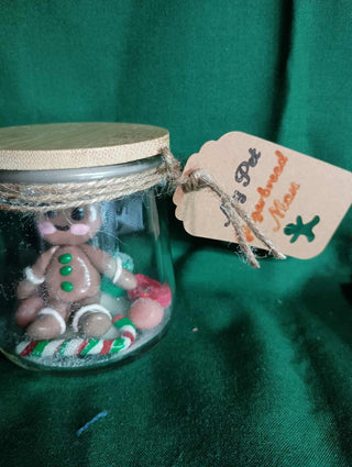 My pet Gingerbread Man