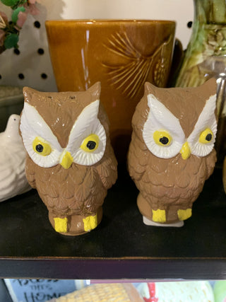 Owl Salt & Pepper Shaker Set