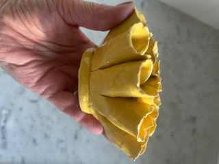 Yellow Sea Polyp/Flower Wall or Table Decor    MTS