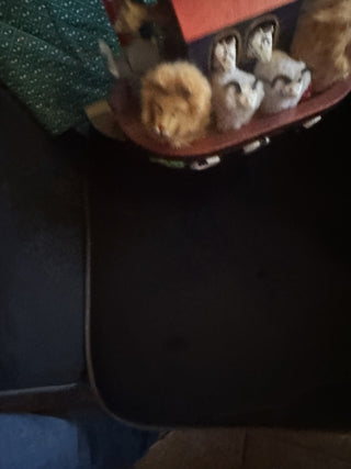 Vintage 15" Noah's Ark Christmas Nutcraker Holiday Bombay Company #62 VV MTS|127863