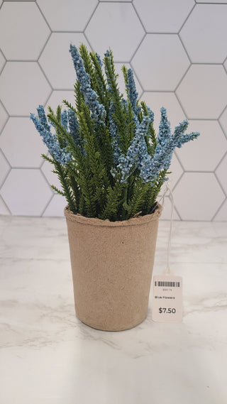 Blue Flowers