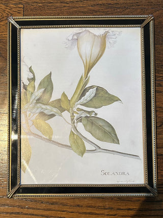 Vintage Frame, Holds 8”x10”    MTS|123832