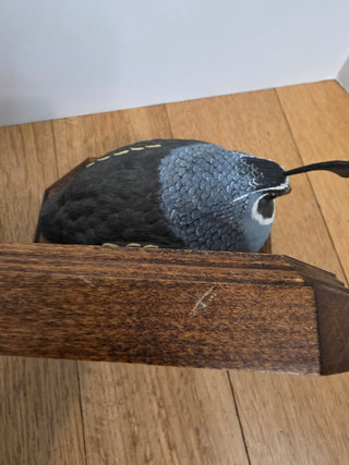 RF 2x Vintage California Quail Bookends