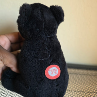 Black Bear Press Here Sound - Stuffed Animal