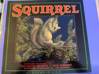 Squirrel Authentic Citrus Farm Crate Label EC100 MTS|100404
