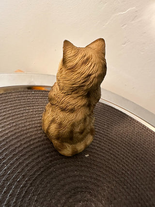 Cat - Little Begging 5" MTS|89887