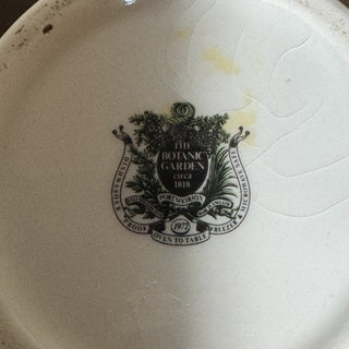 Portmeirion Botanic Garden Cistus Purpureus Vase MTS|115714