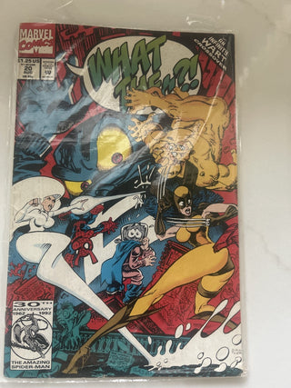 WHAT THE? #20 (1992) 1st APPEARANCE Pork Grind -RSV