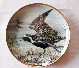 Water Birds of the World American Golden Plover Collector Plate 9" 1981  #47 VV MTS