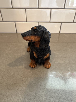 AJ - Castagna Dacshund MTS|61785