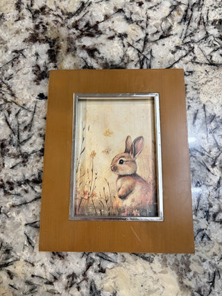 Vintage Bunny Framed Art (A17) RCD NIS