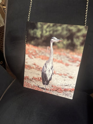 Heron 11" X 14" Photo #47 VV MTS