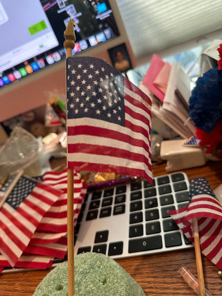 Hand held flag t 6"x4", 10 inch wood post (set of 2) RCD
