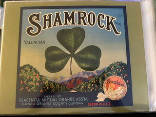 Shamrock Authentic Citrus Farm Crate Label FRAMED EC094 MTS|100390