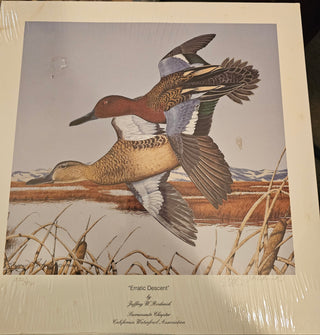 "Erractic Descent"  Print by Jeffery W. Roderick 332/490 RSV