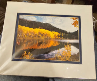 Lake Tahoe Natures Image picture by David Olson RSV