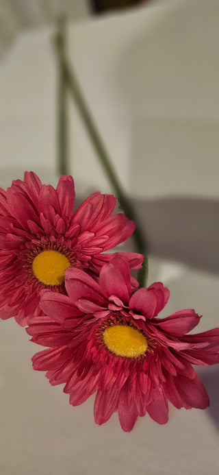 Vintage Style Pink Daisy Stem