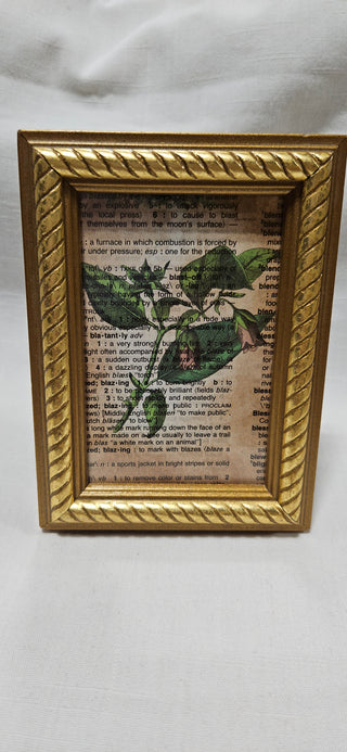 Small Wood Frame
Decorative Book Page Art