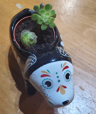Day of the dead dog/planter