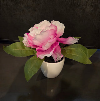 Flower in Vase
