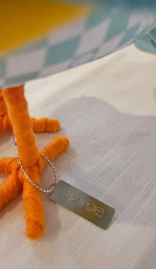 Spritz Featherly Friends: Junior 2024 Summer Swimmer
