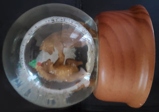 Holiday Bear Globe