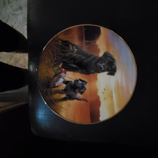 Labrador Retriever plate