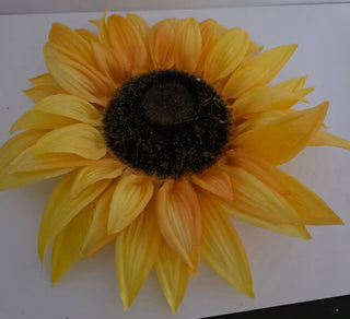 Large Yellow Sunflower