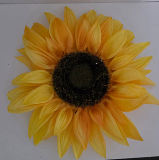 Large Yellow Sunflower