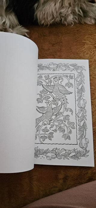 Mexican Folk Art Coloring Book • 31 Designs — $6.50