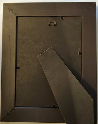 Bird Frame